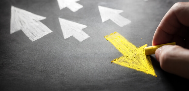 Finding a Profitable Niche
