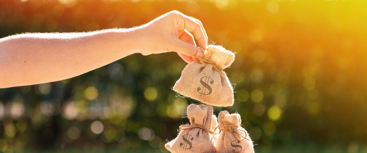 Lump Sum Budget